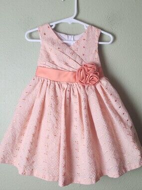 Jessica Ann Girls Size 2T Peach Floral Sash Party Dress